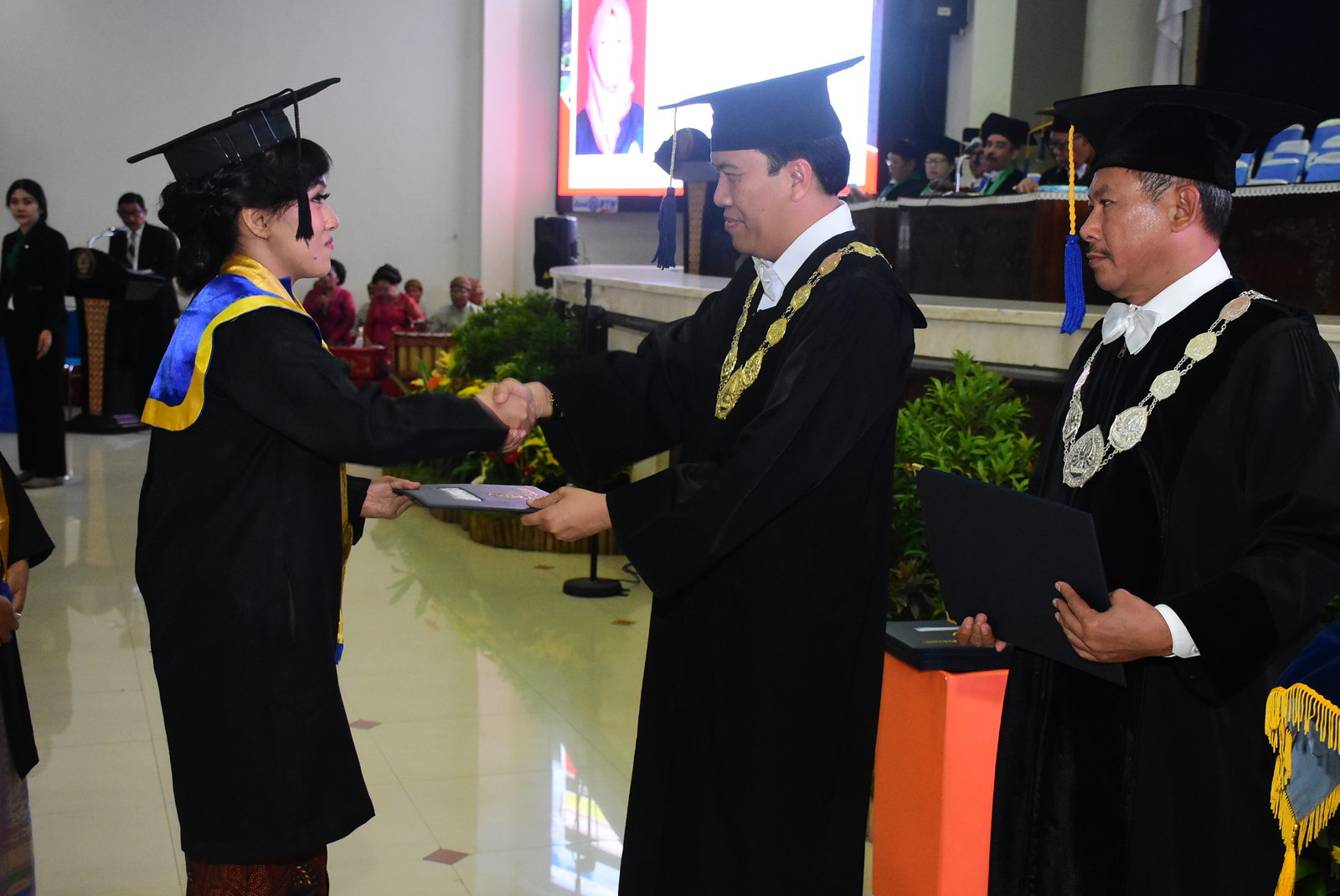 Undip Wisuda