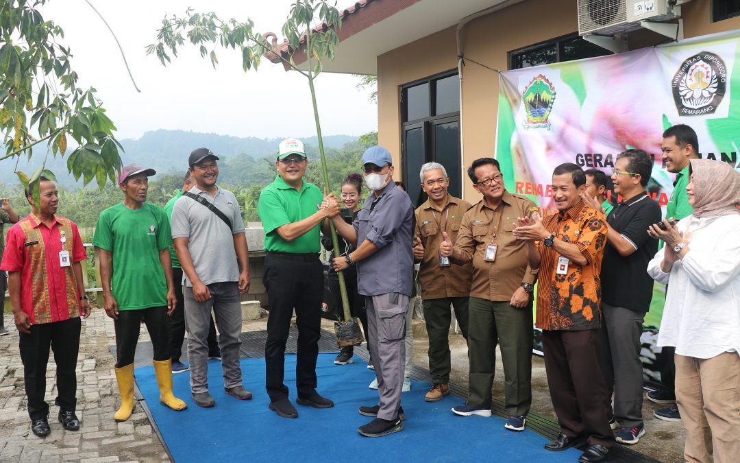 Contributing to Overcoming Floods, UNDIP Planted 7,500 Randu Trees at KHDTK Wanadipa Penggaron