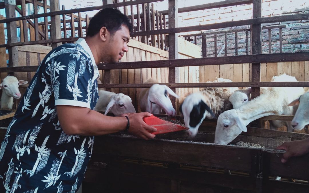 TIM PKUM UNDIP Berikan Stimulus Alat Produksi Pakan Komplet “Bebas Ngarit” untuk Kambing dan Domba di Kecamatan Bae, Kudus