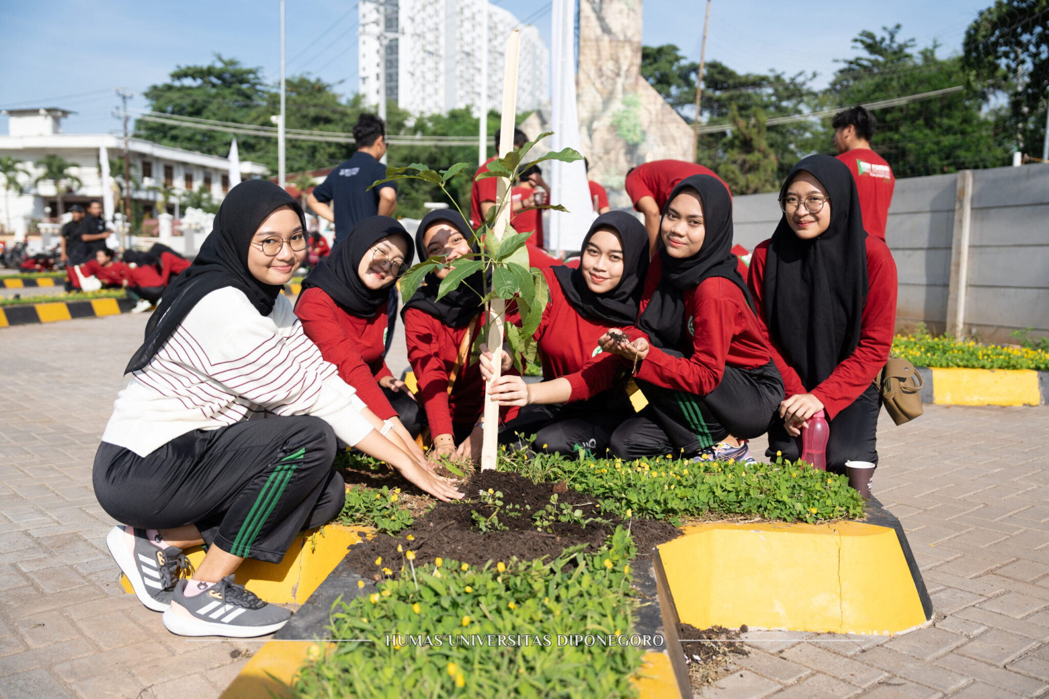 UNDIP Bersama Bakti Lingkungan Djarum Foundation dan Padma Peduli Kelestarian Lingkungan
