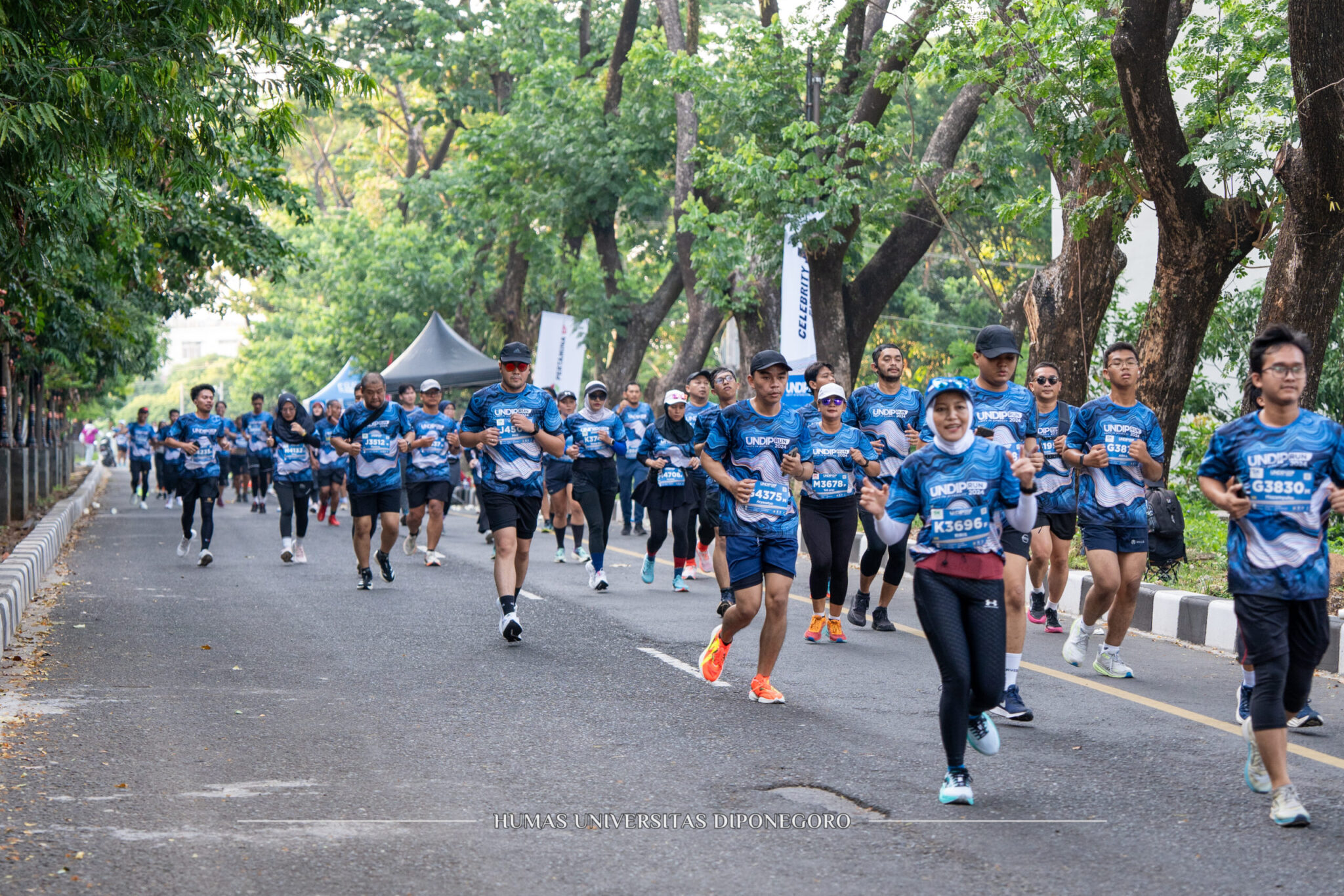 Sebanyak 2.500 Pelari UNDIP RUN 2024 Meriahkan Dies Natalis ke-67 UNDIP