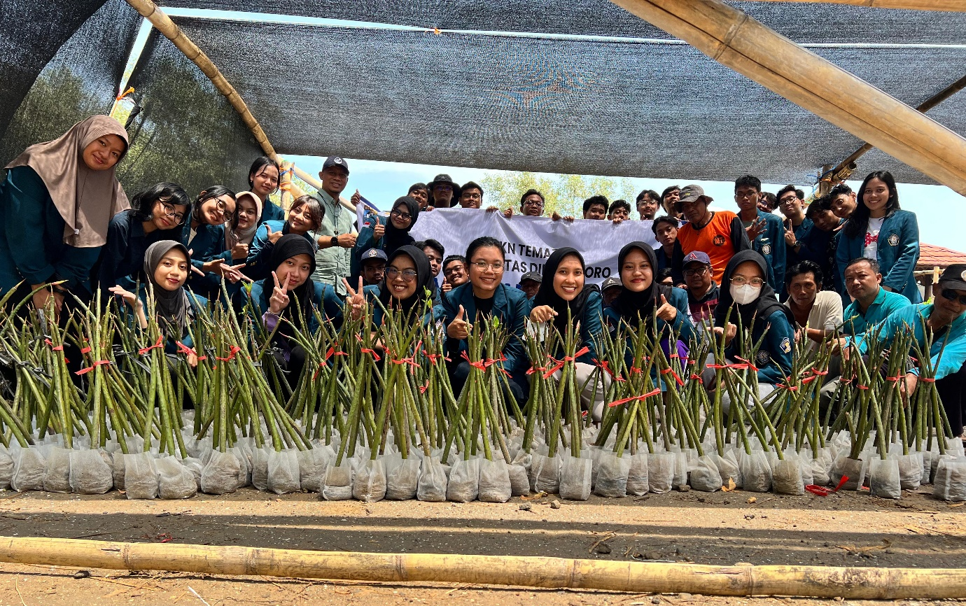 UNDIP Lakukan Terobosan Pembibitan Mangrove Menggunakan Teknologi Ramah Lingkungan.